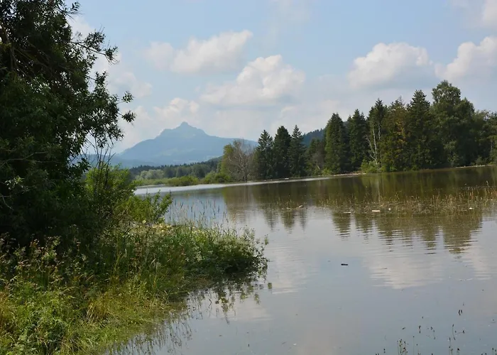 Lejlighed Alpenblick